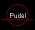 Pudel